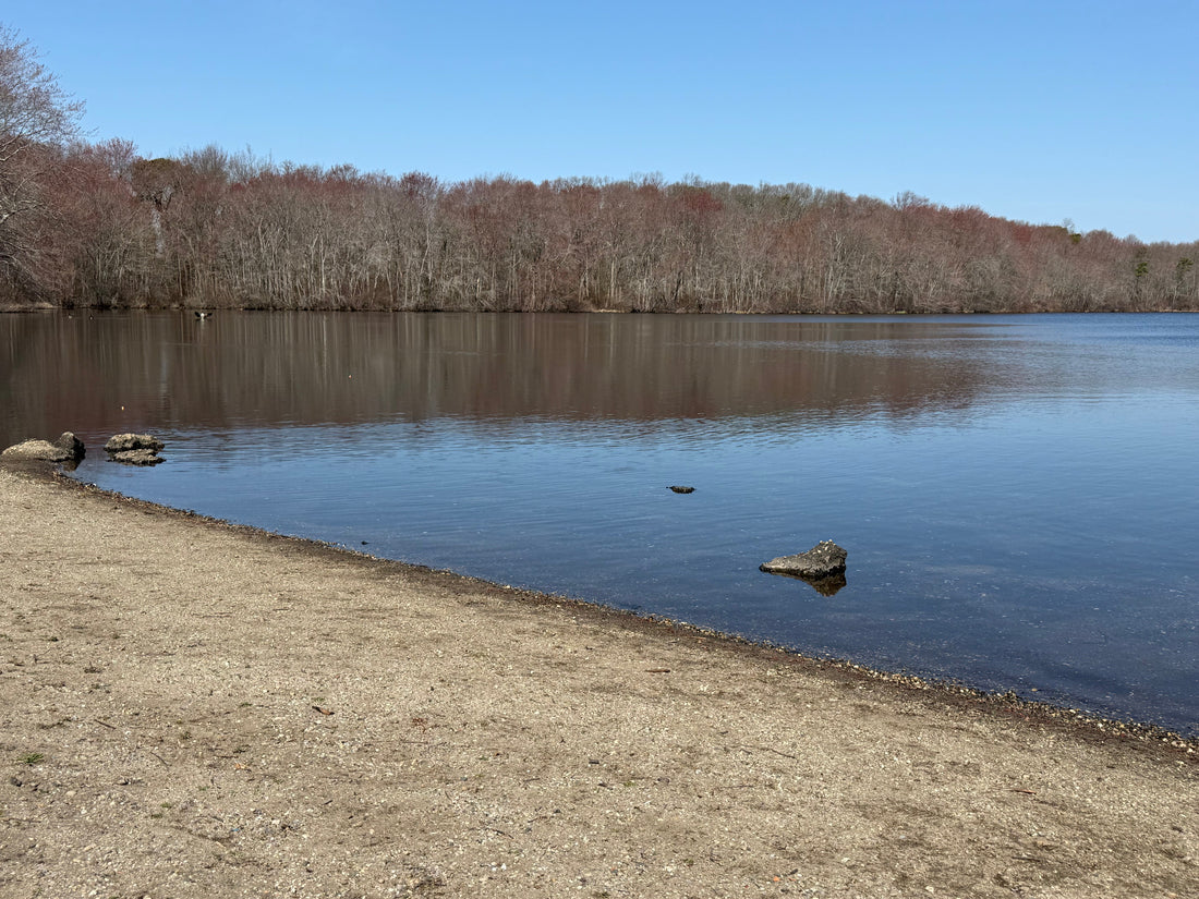 Finding Stillness by the Shore: Why Nature is the Ultimate Healer